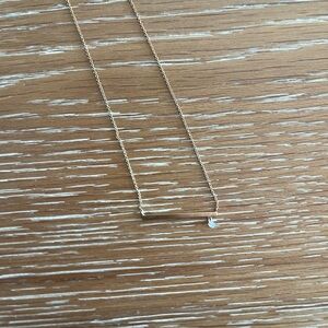 Anthropologie Gold Bar Necklace (October)